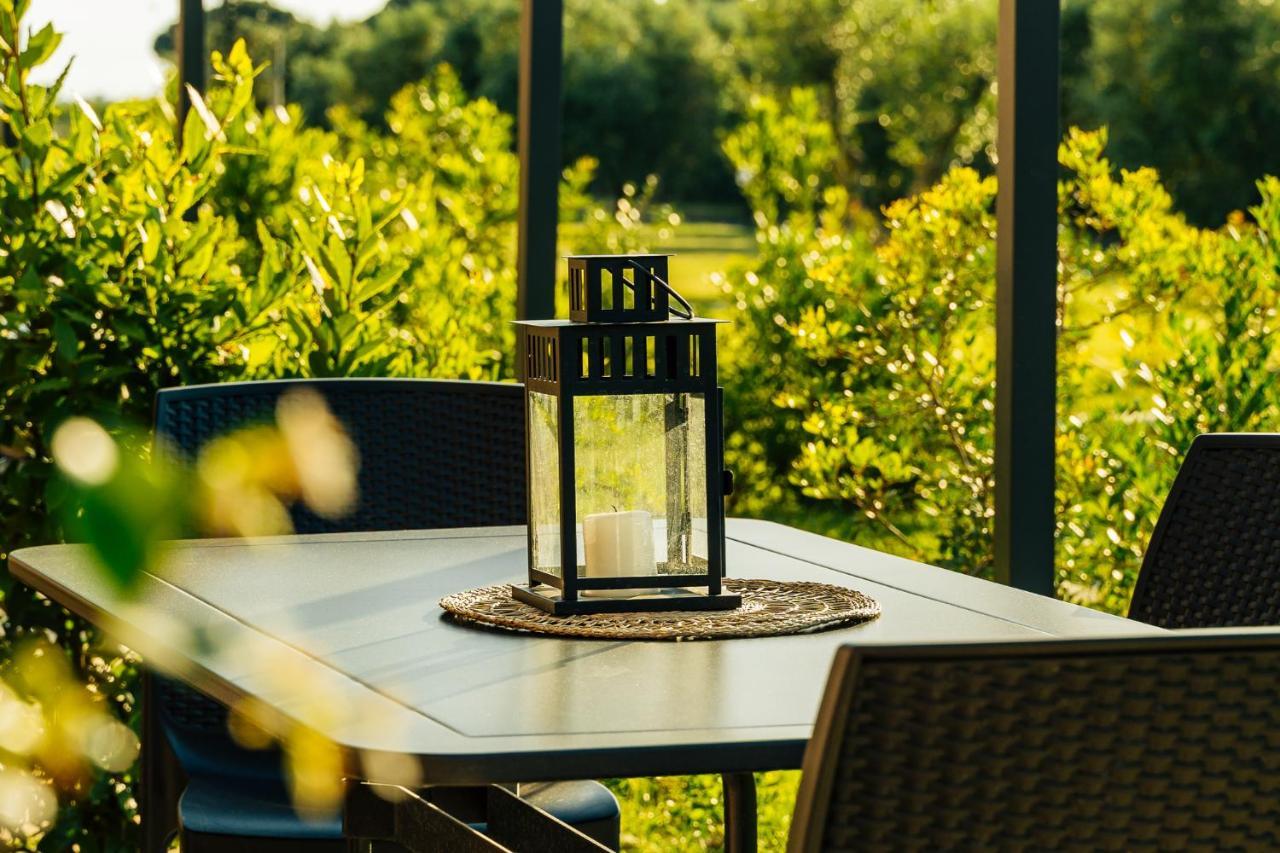 Agriturismo Belfiore In Maremma マリーナ・ディ・グロッセート エクステリア 写真